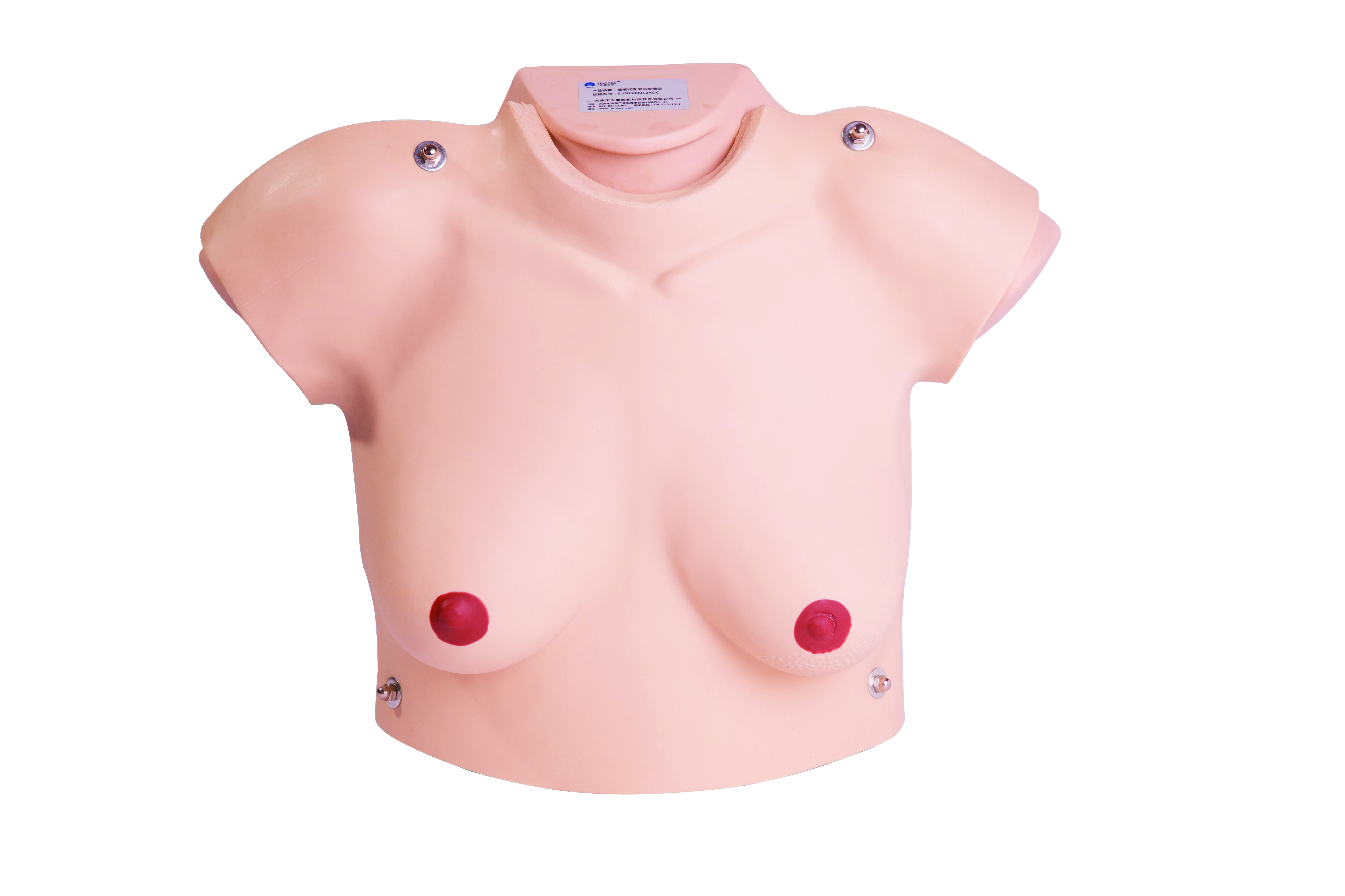 乳房自檢平臺 2.0