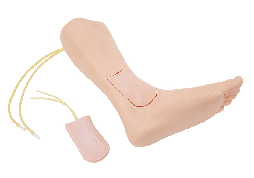 大隱靜脈切開置管訓練模型